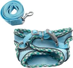 Item thumbnail for item 28b64fce-f6f0-4615-a8da-0ef2b2846bf5