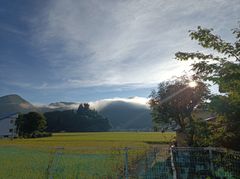 アオゾラショップ