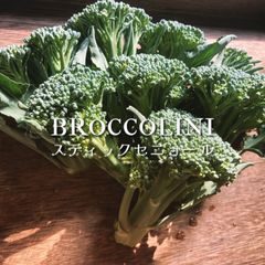 富山県産スティックセニョール 約800g 茎ブロッコリー