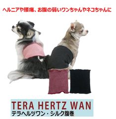 Item thumbnail for item b28534ef-9638-418f-b2e7-181cbe40abd8