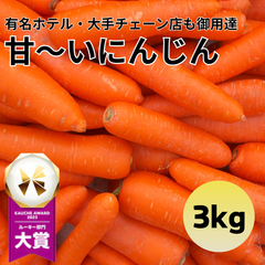 【有名ホテル御用達！】にんじん 3kg 農家 野菜 人参 ニンジン フルーツ 青果 市場