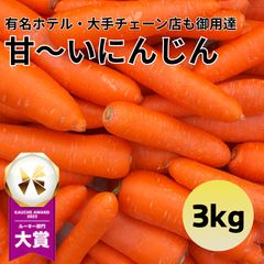 【有名ホテル御用達！】にんじん 3kg 農家 野菜 人参 ニンジン フルーツ 青果 市場のサムネイル