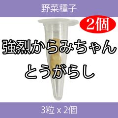 野菜種子 TVK04 強烈からみちゃんとうがらし 3粒 x 2個