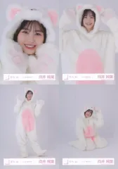 【中古】生写真(乃木坂46) ◇向井純葉/櫻坂46ランダム生写真【どうぶつ着ぐるみ】 4種コンプリートセット