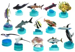 2026年最新】アクアテイルズの人気アイテム - メルカリ