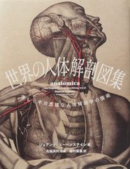 人体解剖図 白骨 人体模型 ヴィンテージ アート アンティーク - メルカリ