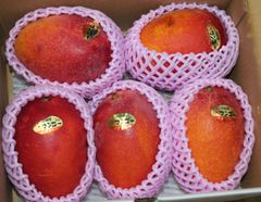農家直送　宮崎県産　完熟マンゴー 6玉入り 2704g 農家直送 宮崎県産 完熟マンゴー 6玉入り 2704g - メルカリ