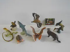 2025年最新】海洋堂 セマルハコガメの人気アイテム - メルカリ