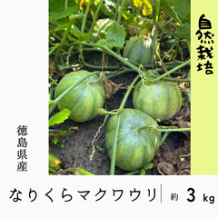 【自然栽培】徳島県産 マクワウリ(なりくらマクワ) 3kg