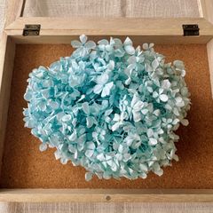 プリザーブドフラワー アンデスアジサイ 約18g (ブルー) FL 未使用品 紫陽花 ヘッド