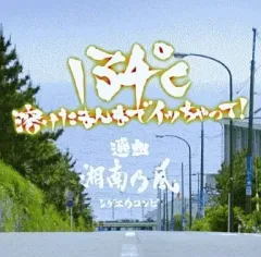 【中古】洋楽CD オムニバス / 134℃溶けたまんまでイッちゃって!選曲 湘南乃風