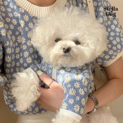 【閉店セール全品半額】マーガレット柄カーディガン　長袖　ブルー　犬服　ドッグウェア　春