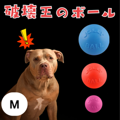 [Msize] 壊れない ボール 犬 バウンス&プレイ Bounce & Play 犬用 パンクしない おもちゃ ジョリーペット ジョリーボール 頑丈 丈夫 噛むおもちゃ 小型犬 中型犬 大型犬 超大型犬 Jolly Pets
