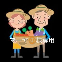 淡路島産新玉ねぎ グリーンボール他セット 淡路島夢玉ファームと