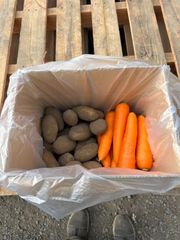 【北海道十勝の新鮮野菜セット！じゃがいも 人参セット！】北海道 十勝産 野菜セット 5kg 人参 じゃがいも セット販売 (じゃがいも3kg 人参2kg)