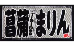 Item thumbnail for item 9b97a188-470b-4f92-bc11-f41a64464ee4