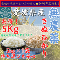 無農薬栽培　令和5年度　新米【玄米・白米選べます】愛媛県産　お米　きぬひかり　5kg　農薬不使用