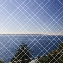 【特価商品】果樹守りや野菜栽培や防獣ネット 鳩対策防鳥網 猫侵入脱走防止 カラス 透明色 幅4m×長さ10m （結束バンド ベランダ鳥よけネット 15本付き）Limthe 防鳥ネット