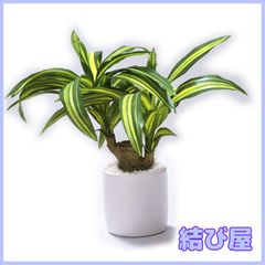 日本製☆フェイクグリーン/観葉植物 【ドラセナ】高さ32cm 光触媒 消 