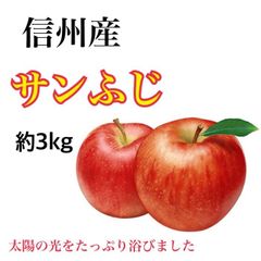 信州産　りんご　　　　　　　　　　🍎サンふじ🍎　約3kg