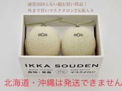 通常出回らない超お買い得品！外まで甘いマスクメロン2玉箱入り