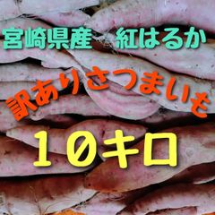 さつまいも☆紅はるか（訳あり）１０キロ