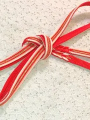 平組の帯締め　★★★★　中古　154cm《ふだんきもの杏》　50480