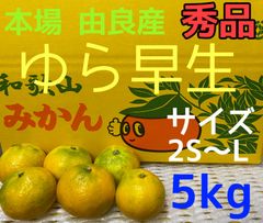 ゆら早生　秀品   サイズ混合　5kg　和歌山　由良産
