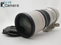 2023年最新】EF 300mm F4 L USMの人気アイテム - メルカリ