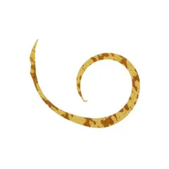 jackall ジャッカル JK ビンビンスイッチT+ネクタイマイクロカーリースリム ＃エビオレ