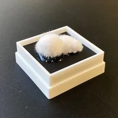 オケナイト入りゴールデンレインボーカルサイト