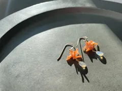 Harisha : Opal Earring