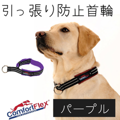 コンフォートフレックス 首輪 [パープル] Comfortflex ハーフチョーク  犬用 リミテッドスリップカラー