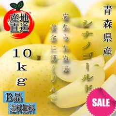 青森県産 シナノゴールド りんご【B品10kg】【送料無料】【農家直送】リンゴ