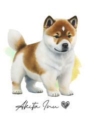 ポストカード【 Akita / 秋田犬 】イラスト アート 水彩画風 パステルカラー はがき -1
