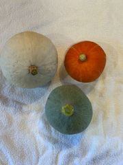かぼちゃ3個4kg 自然栽培品