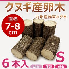 クヌギ産卵木　６本入　直径約7～8㎝　Sサイズ　九州産　椎茸　ホダ木　クワガタ産卵木に最適！！　カブトムシ・クワガタの止まり木にもおすすめ！ S16