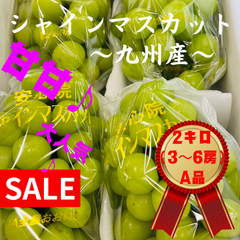 【大容量セール♪】キャンペーン　九州産　シャインマスカット　綺麗　2キロ（3〜6房）　葡萄　ぶどう　送料無料　プレゼン　国産　人気フルーツ　旬の果物