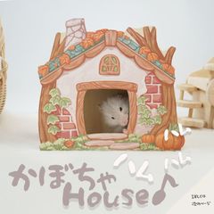 【すぐ届く】 ハムスター ハウス 底なし かぼちゃ 木製 ケージ 内装 ゴールデンハムスター 小動物 おとぎ話 のようなおうち