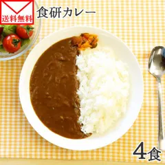 【フォロー割】食研カレー 4食【メール便】 種類1：日本食研 カレー 200gx4 レトルトカレー レトルト食品 業務用パッケージ 送料無料 ビーフカレー 中辛 食べ物のサムネイル