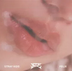 StrayKids Accordion ver. FELIX ATE POB
