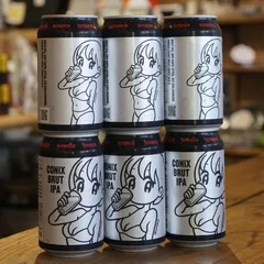 30枚限定 シルクスクリーン Conix ビームス 　コニックス　conix conix アートパネル ED30 小嶋陽菜 こじはる BEAMS kyneの通販