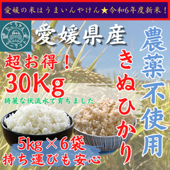 無農薬栽培　令和7年度　新米【玄米・白米選べます】愛媛県産　お米　きぬひかり　30kg　無農薬