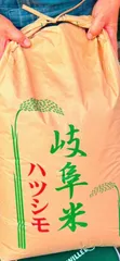 農家直送1等米20kg（10Kg✖️2個）♪令和6年産コシヒカリ精米済み送料無料 令和6年福井県産 農家直送米：コシヒカリ 10kg【玄米】 | 中瀬