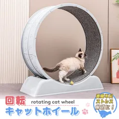 2026年最新】キャットホイールの人気アイテム - メルカリ