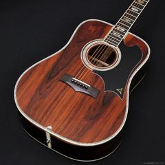[新品] K.Yairi　YW-800G