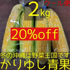 〈現品/20%off〉沖縄県産 スイートコーン/とうもろこしＢ品約２kg【クール便】①