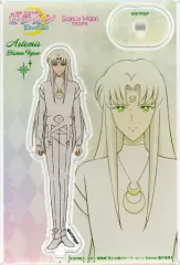 【中古】アクリルスタンド・アクリルパネル アルテミス 「劇場版 美少女戦士セーラームーンEternal ストアオリジナル アクリルスタンドコレクションvol.5」