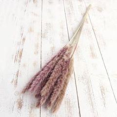 Item thumbnail for item 3e13e216-0607-4225-9639-84fe04ea54c2