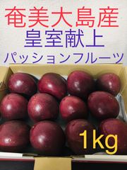 南国のスーパーフルーツ！奄美大島産　パッションフルーツ